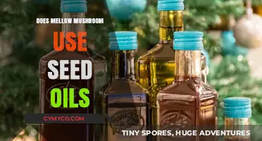 Exploring Mellow Mushroom's Kitchen: The Truth About Seed Oils