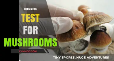 Exploring the Limits: MEPs and Mushroom Detection