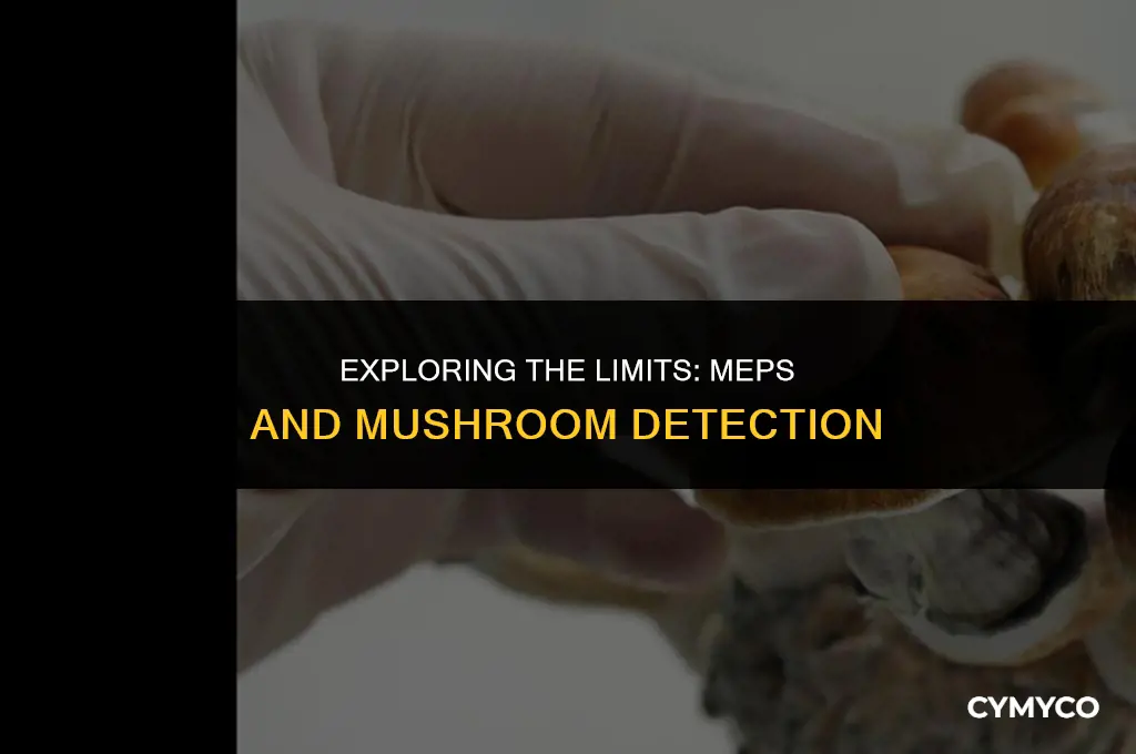 does meps test for mushrooms