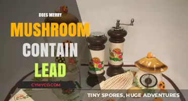 Lead in Merry Mushrooms: A Health Concern or Just Hype?