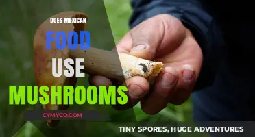 Exploring the Flavorful World of Mushrooms in Mexican Cuisine