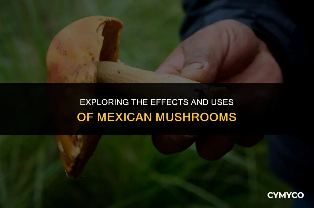 does mexican mushrooms
