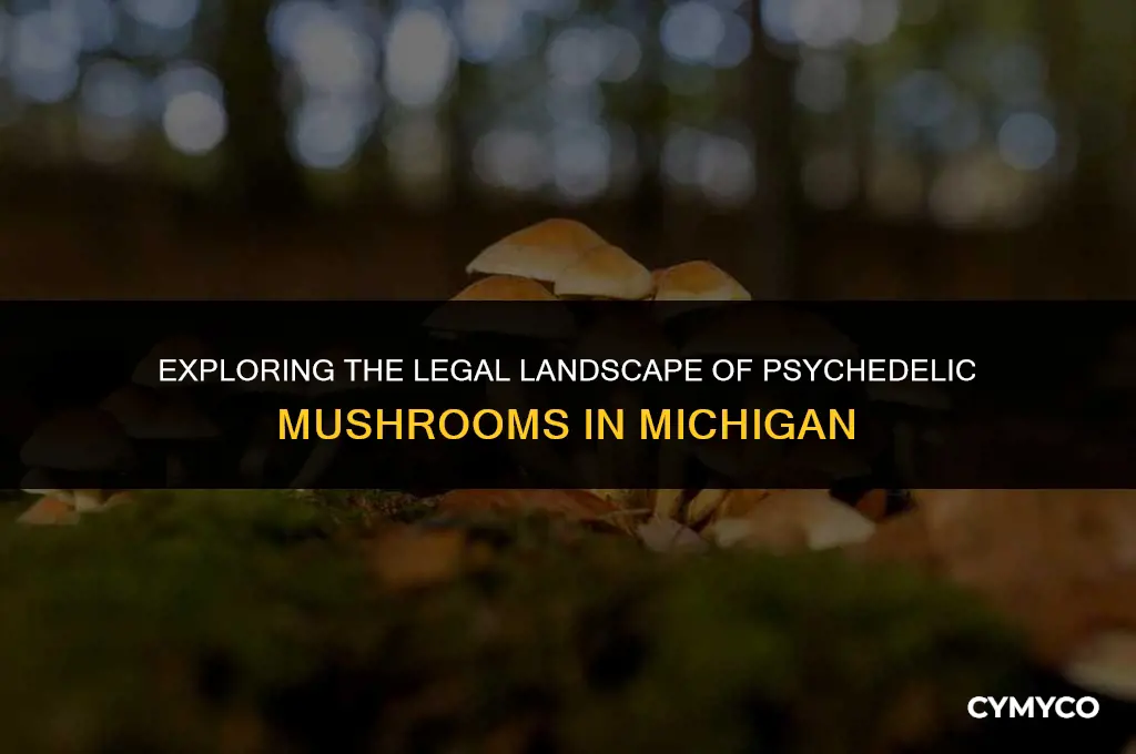 does michigan have psychedelic mushrooms