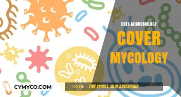 Microbiology's Scope: Does It Include the Study of Mycology?