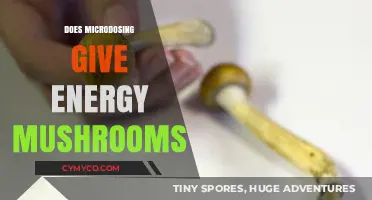 Exploring the Energizing Effects of Microdosing Mushrooms