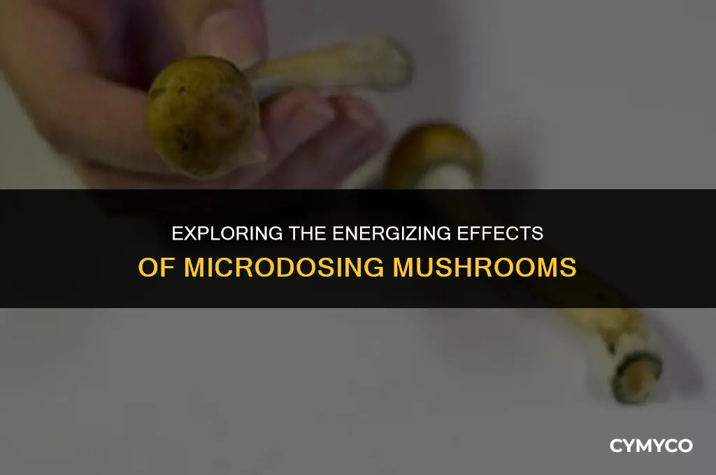 does microdosing give energy mushrooms