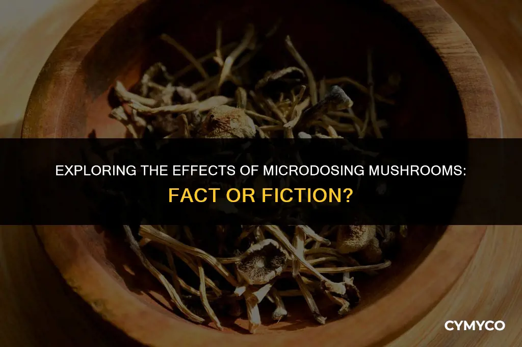 does microdosing mushrooms actually work