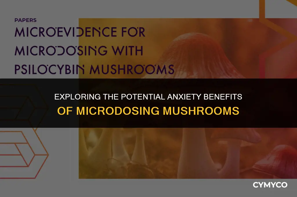 does microdosing mushrooms help anxiety