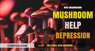 Exploring the Potential of Microdosing Mushrooms for Depression Relief