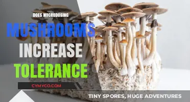 Exploring the Effects of Microdosing Mushrooms on Tolerance Levels