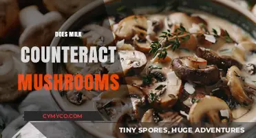 Exploring the Myth: Can Milk Really Counteract Mushroom Effects?