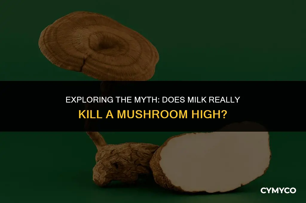 does milk kill mushroom high