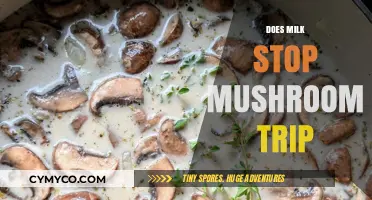 Exploring the Myth: Can Milk Really Halt a Mushroom Trip?