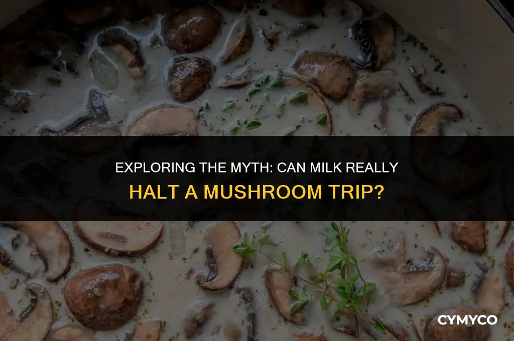 does milk stop mushroom trip