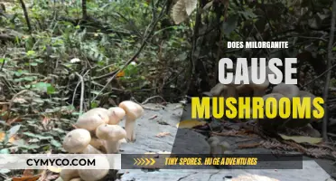 The Surprising Truth About Milorganite and Mushroom Growth