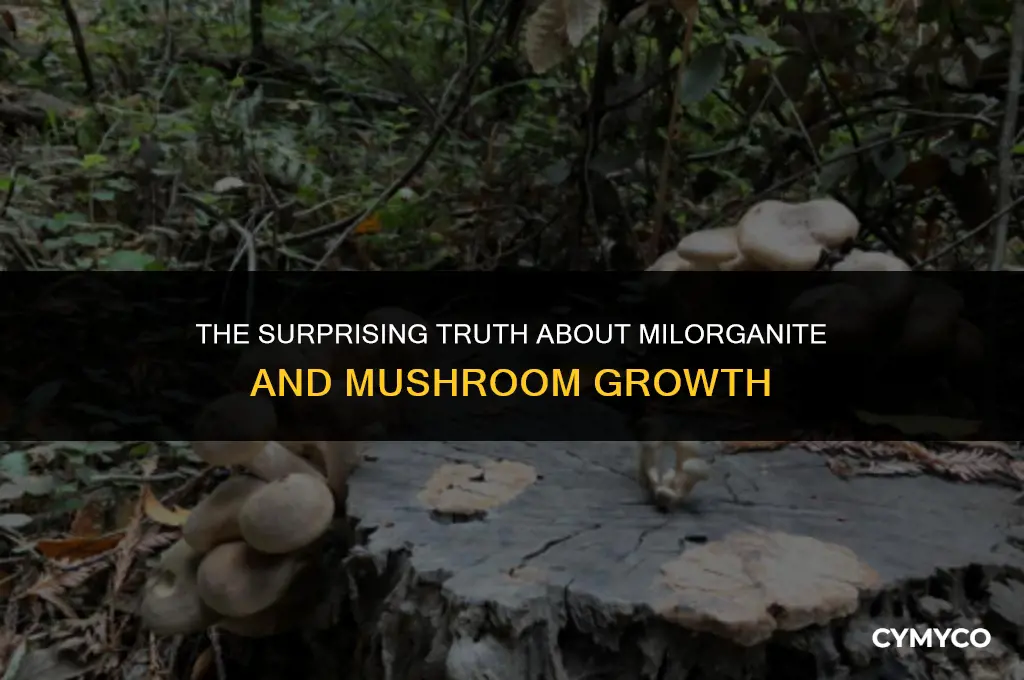 does milorganite cause mushrooms