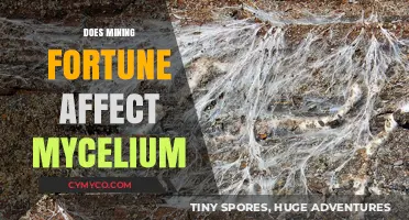 Unearthing the Impact: How Mining Fortune Influences Mycelium Networks
