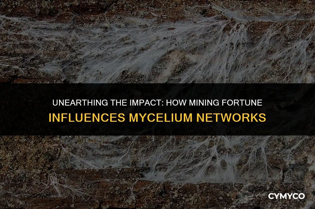 does mining fortune affect mycelium