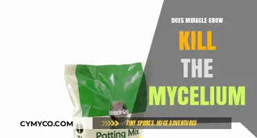 Miracle Grow's Impact on Mycelium: A Comprehensive Guide