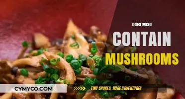 Unveiling the Truth: Miso and Mushrooms - A Flavorful Connection?