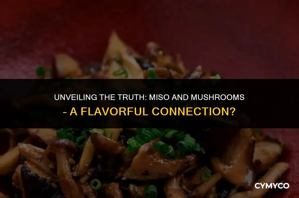 does miso contain mushrooms