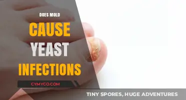 Mold and Yeast Infections: Unraveling the Hidden Connection and Risks