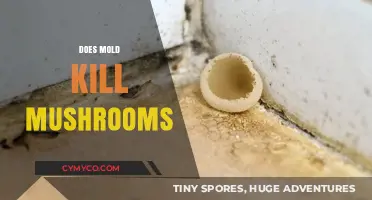 The Surprising Truth: Mold's Lethal Effects on Mushrooms Revealed