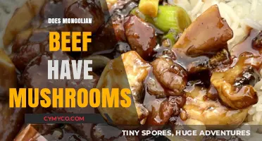 Exploring Mongolian Beef: A Journey Through Flavors and Ingredients