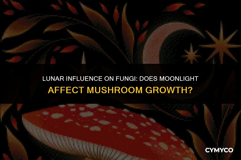 does moonlight affect mushrooms