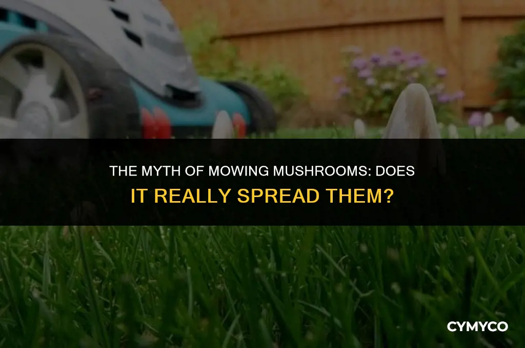 does mowing mushrooms spread them