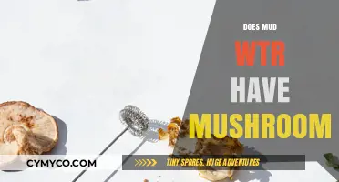 Exploring the Ingredients: Does Mud Wtr Contain Mushrooms?