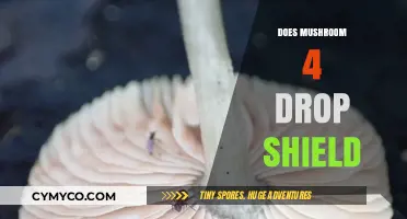 Unveiling the Truth: Does Mushroom 4 Really Drop Your Shield?