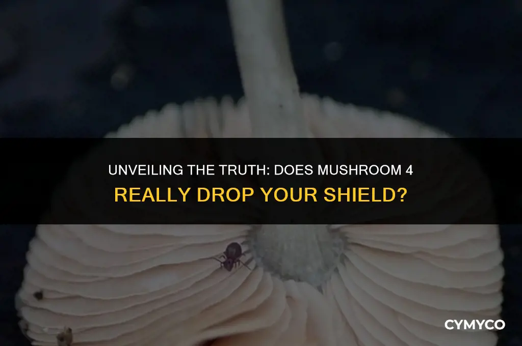 does mushroom 4 drop shield
