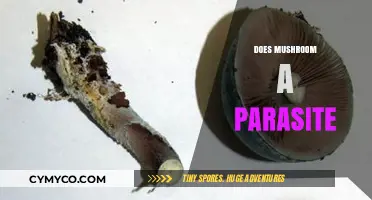 Unveiling the Truth: Mushrooms and Their Parasitic Nature