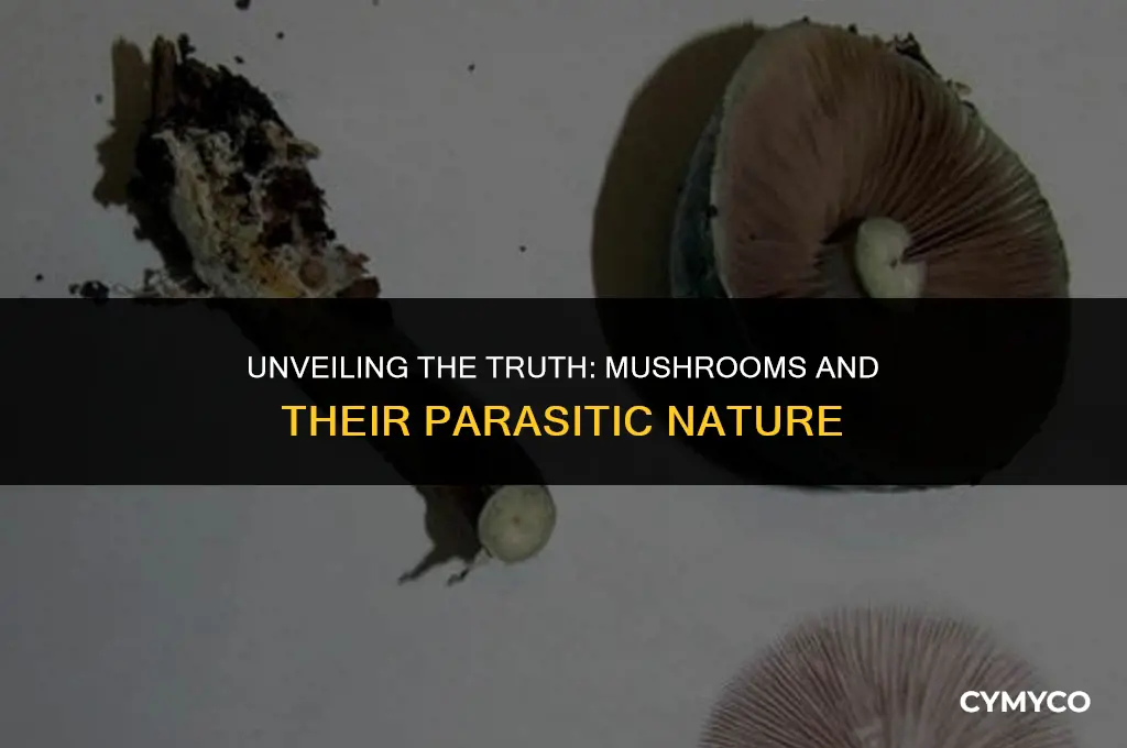 does mushroom a parasite