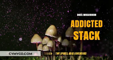 Exploring the Myth: Can You Really Get Addicted to Mushrooms?