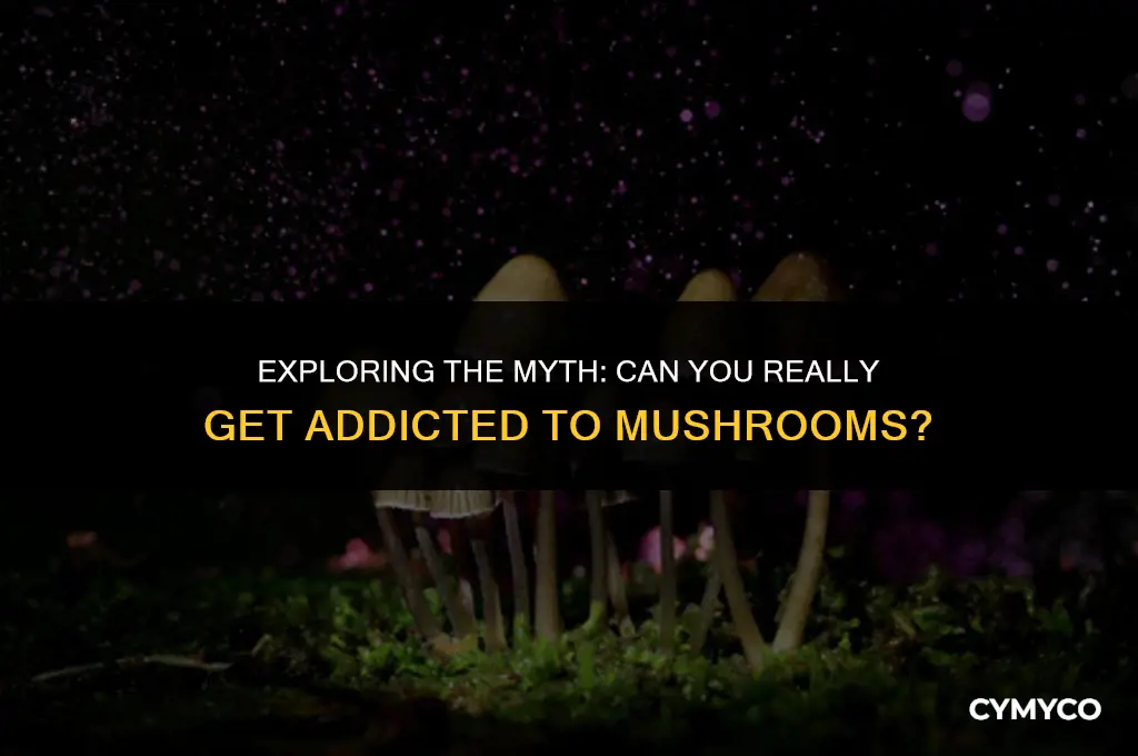 does mushroom addicted stack