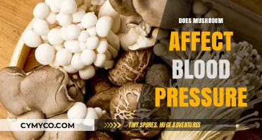 Exploring the Link: Mushrooms and Blood Pressure Regulation