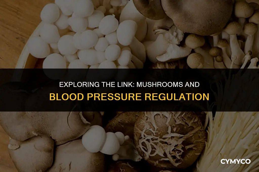does mushroom affect blood pressure