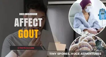Exploring the Link: Mushrooms and Gout - What You Need to Know