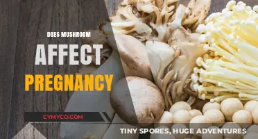 Exploring the Effects of Mushrooms on Pregnancy: A Comprehensive Guide