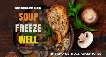 Savor the Flavor: Mushroom Barley Soup's Freezing Secrets Unveiled
