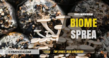 Exploring the Propagation of Mushroom Biomes: Facts and Myths