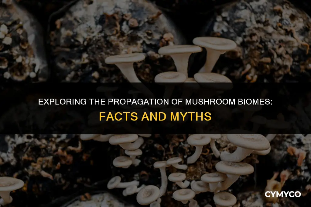 does mushroom biome sprea