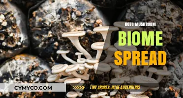 Exploring the Propagation Mysteries of Mushroom Biomes