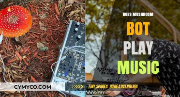Exploring the Beats: Can Mushroom Bot Really Play Music?
