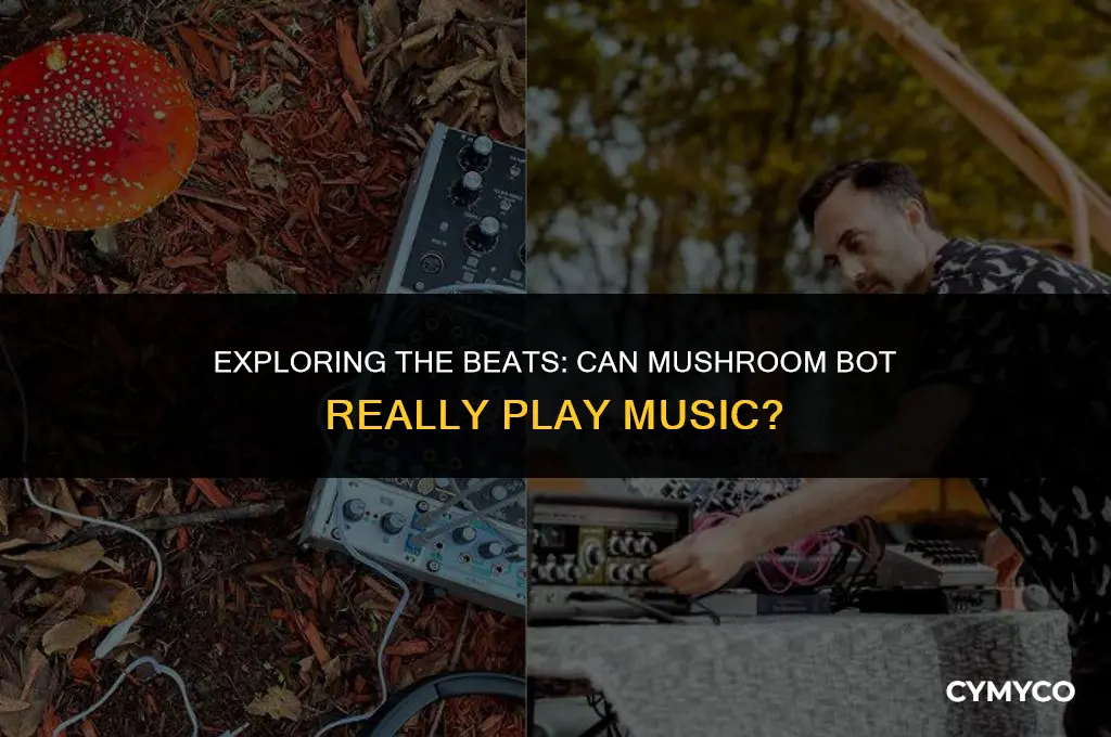 does mushroom bot play music
