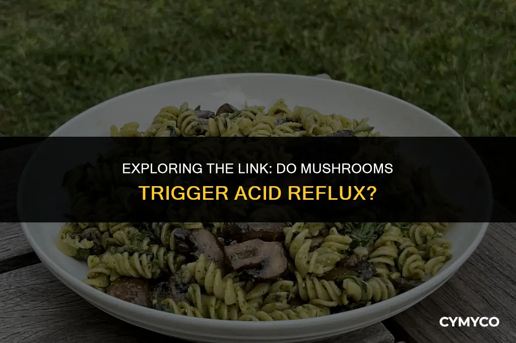 does mushroom cause acid reflux