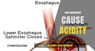Exploring the Effects of Mushrooms on Stomach Acidity