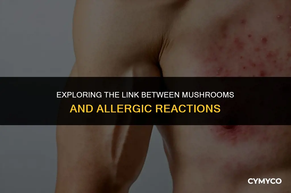 does mushroom cause allergy